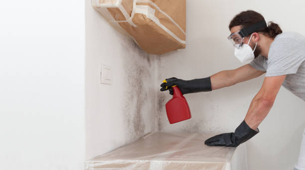 Professional Crawl Space Mold Removal technician working in Greenbackville, VA