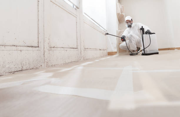 24/7 Emergency Crawl Space Mold Removal experts in Greenbackville, VA